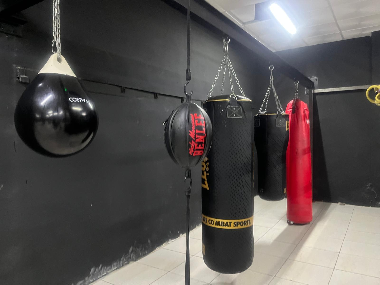 Fila de sacos de boxeo Leone 1947 colgados con cadenas